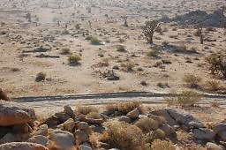 DSC 5060  scaled 256