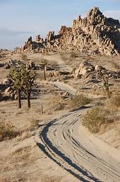 DSC 5052  scaled 256