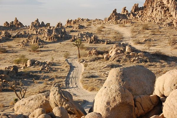 DSC 5056  scaled 1024