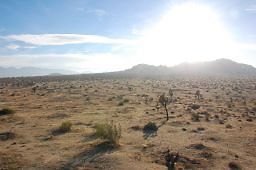 DSC 5046  scaled 256