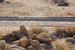 DSC 5061  scaled 256