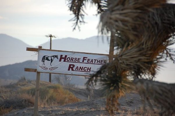 DSC 5095  scaled 640