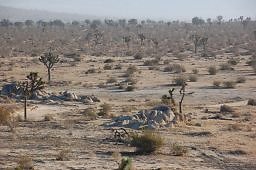 DSC 5048  scaled 256