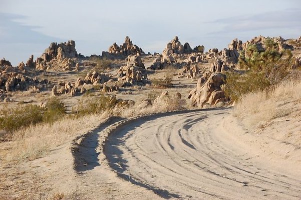 DSC 5053  scaled 640