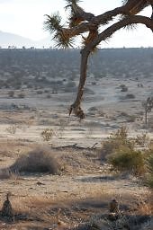 DSC 5084  scaled 256