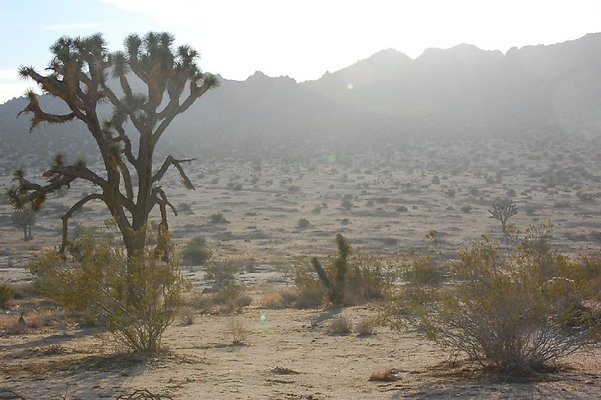DSC 5083  scaled 1024