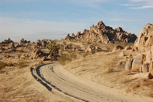 DSC 5039  scaled 640