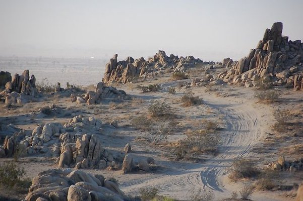 DSC 5081  scaled 640