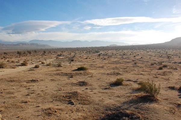 DSC 5045  scaled 640