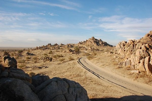 DSC 5041  scaled 640