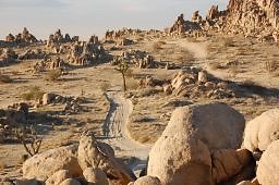 DSC 5056  scaled 256