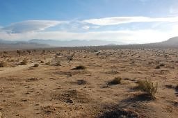 DSC 5045  scaled 256