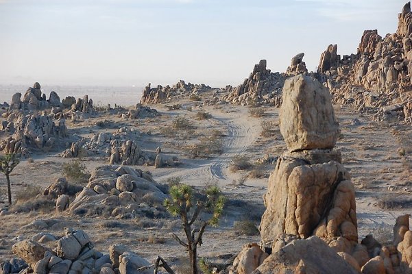 DSC 5080  scaled 1024