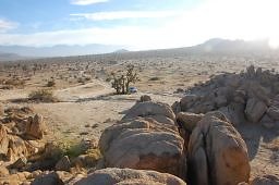 DSC 5063  scaled 256