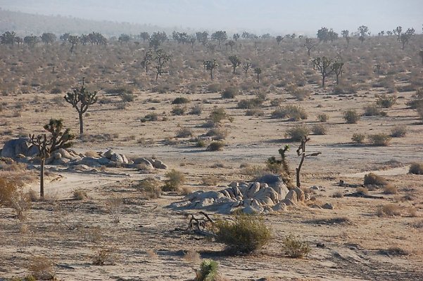 DSC 5048  scaled 1024