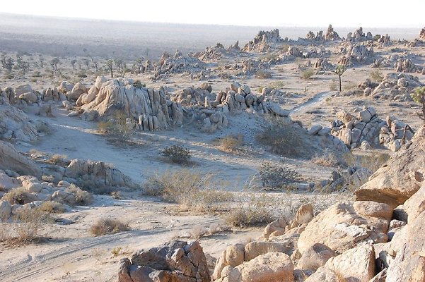 DSC 5077  scaled 1024