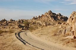 DSC 5039  scaled 256