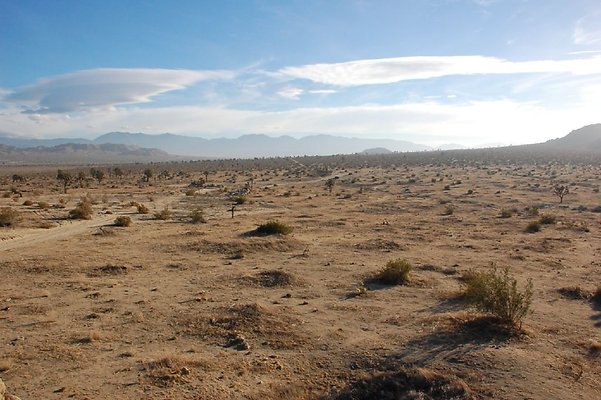 DSC 5045  scaled 1024