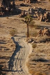 DSC 5057  scaled 256