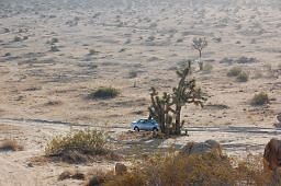 DSC 5067  scaled 256