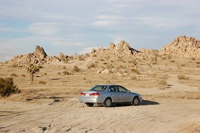 DSC 5029  scaled 400