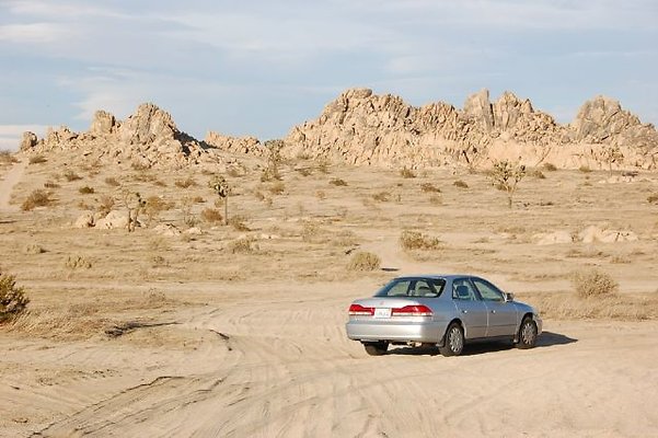 DSC 5028  scaled 640