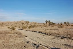 DSC 5037  scaled 256