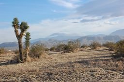 DSC 5034  scaled 256