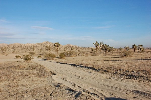 DSC 5037  scaled 1024