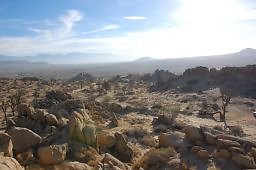 DSC 4992  scaled 256