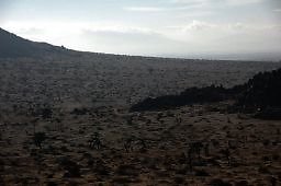 DSC 5002  scaled 256