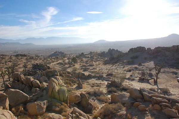 DSC 4992  scaled 640