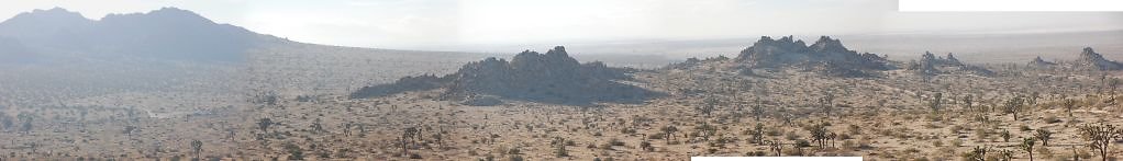 DSC 4990bpan  scaled 1024