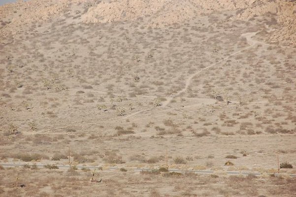 DSC 5012  scaled 640