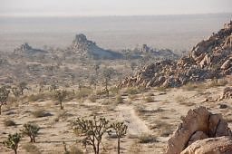 DSC 5007  scaled 256