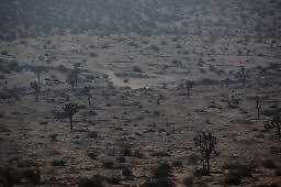 DSC 4998  scaled 256