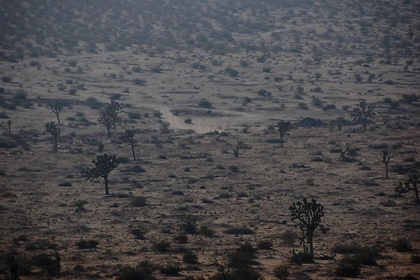 DSC 4998  scaled 1024