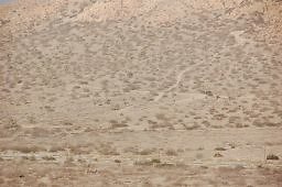 DSC 5012  scaled 256