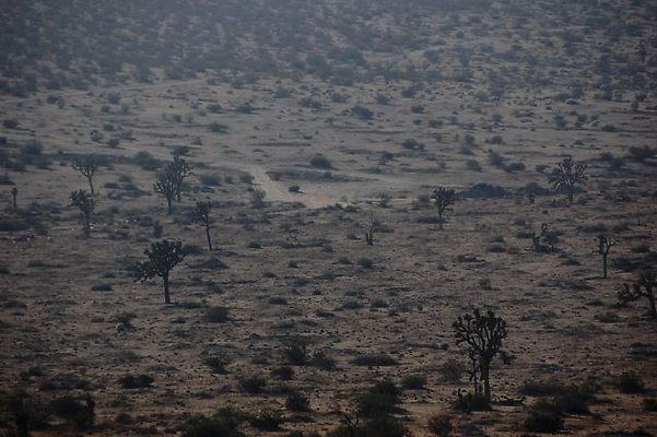 DSC 4998  scaled 640