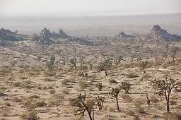 DSC 5005  scaled 256