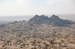 DSC 5004  scaled 256