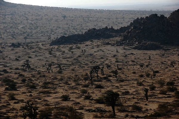 DSC 5000  scaled 640