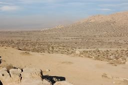 DSC 5015  scaled 256