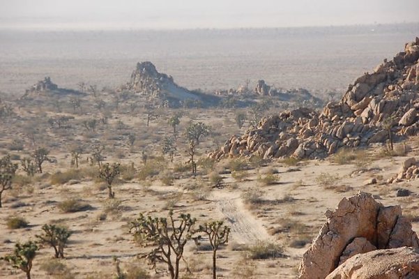 DSC 5007  scaled 640