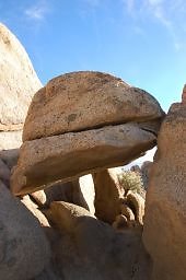 DSC 5021  scaled 256