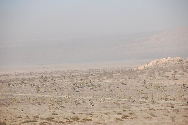 DSC 5010  scaled 640