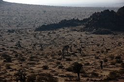 DSC 5000  scaled 256