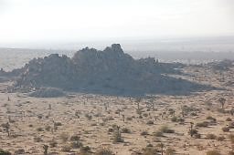 DSC 5003  scaled 256