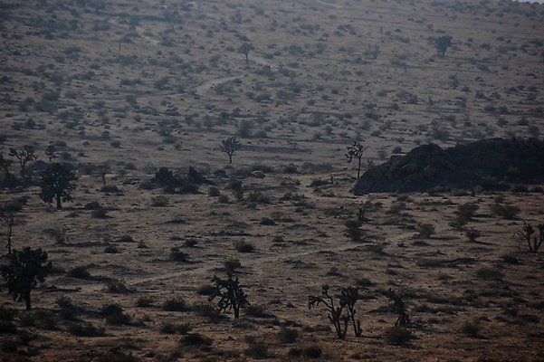 DSC 4999  scaled 1024