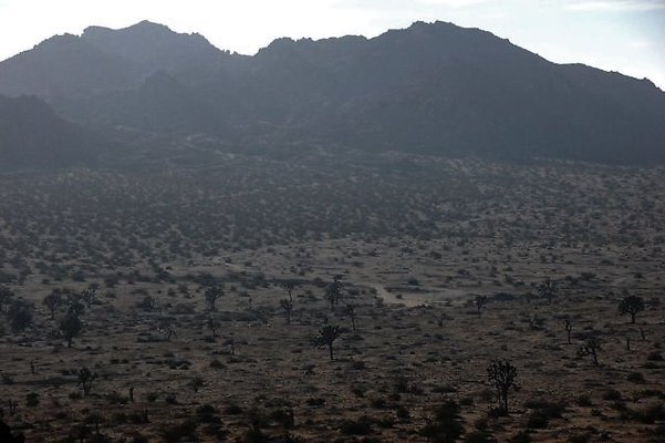 DSC 5001  scaled 640